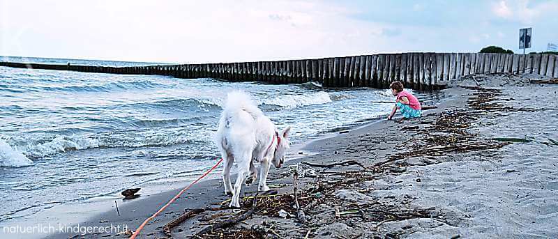 Bau Bau Beach Hundestrand Adriaküste